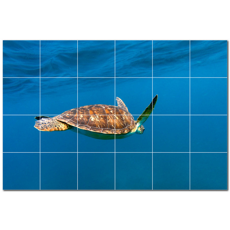 Tortue photo 12 x 12