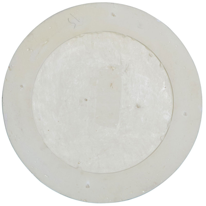 Lion 13.75'' H x 13.75'' W x 3.625'' D Urethane Rosette Applique