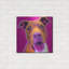 «Pit Bull - Bama» par Dawg Painter-1773179825