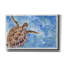 Toile épique Graffiti «Sea Turtle» par Anika Goodhue, 18 po x 12 po-106173665