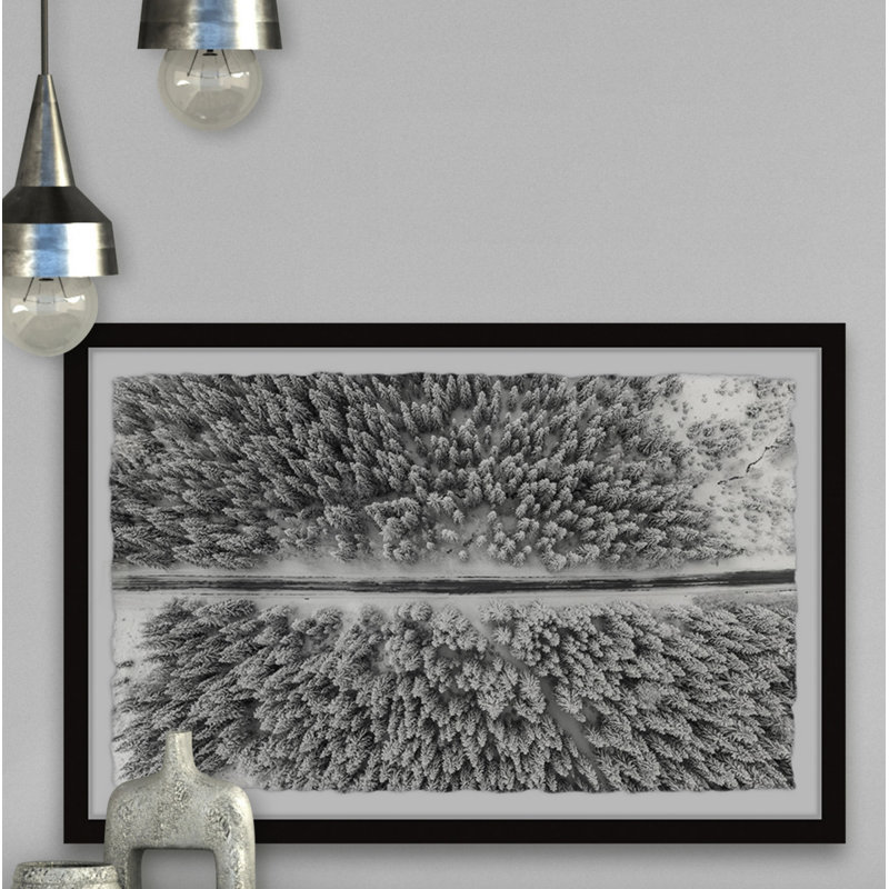 Road Through The Forest - Single Picture Frame Print, 38cm H x 45cm W x 3.81cm D
