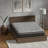 Mattresses, 12 Inch Medium Firm Hybrid Mattress with Pocketed Coils | Foam+Spring | King-1776759738