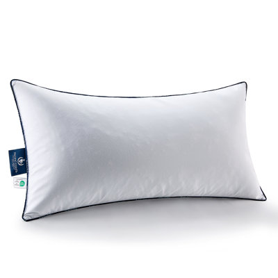 Coussin lombaire en plumes d'oie Pacific Coast