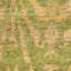 Lamberta Ikat Jute / Sisal Hand Woven Area Rug-12827212