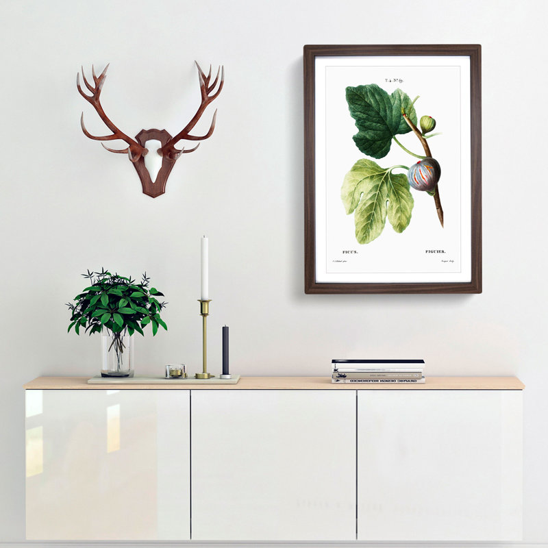 Fig Tree by Pierre-Joseph Redoute - Picture Frame Graphic Art Print on MDF, Walnut Framed, 36cm H x 27cm W x 2cm D