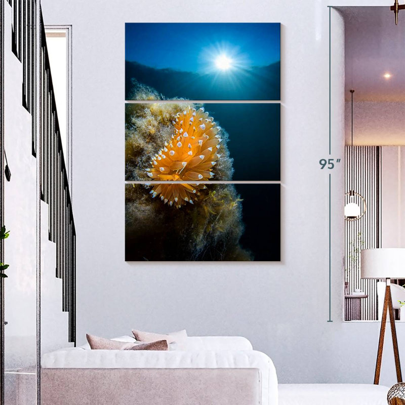 Brampt Crested Aeolis, 23" H x 14" W