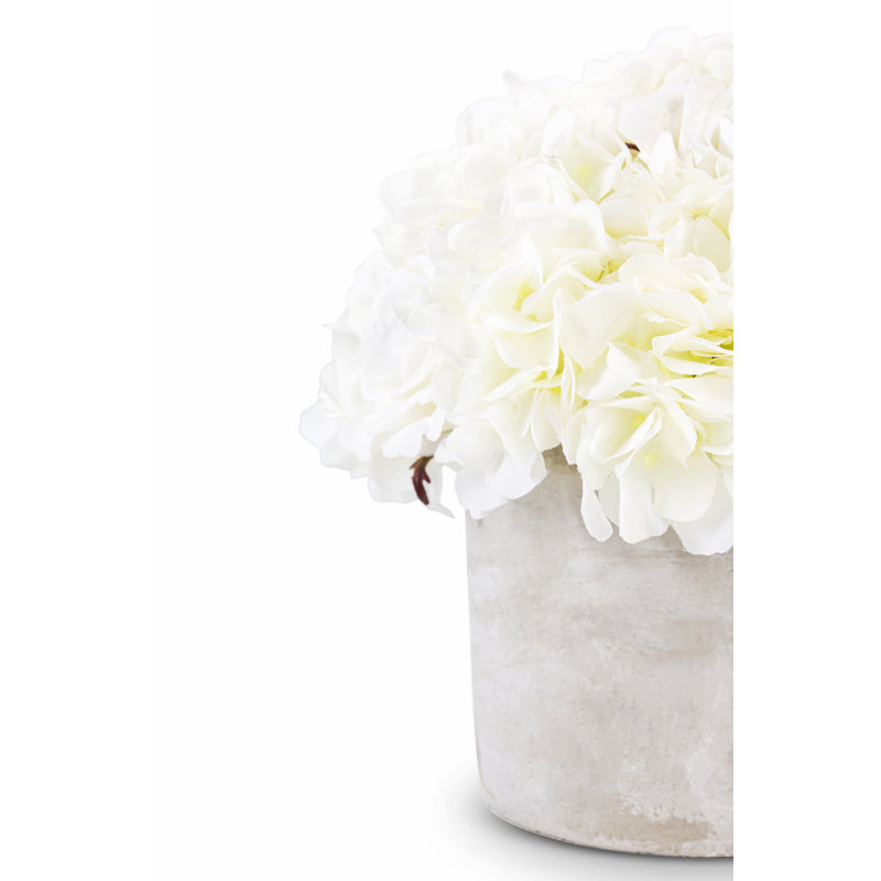Riley Roses Arrangement in Planter