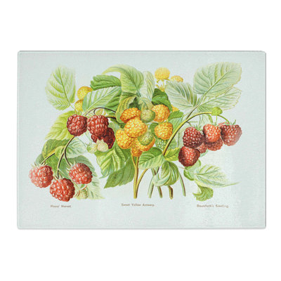 Tempered Glass Vintage Illustration of Raspberries Chopping Board