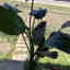 Customer photo 2 of 6