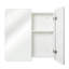 Caslyn 680mm W 660mm H Surface Frameless Medicine Cabinet Mirror   