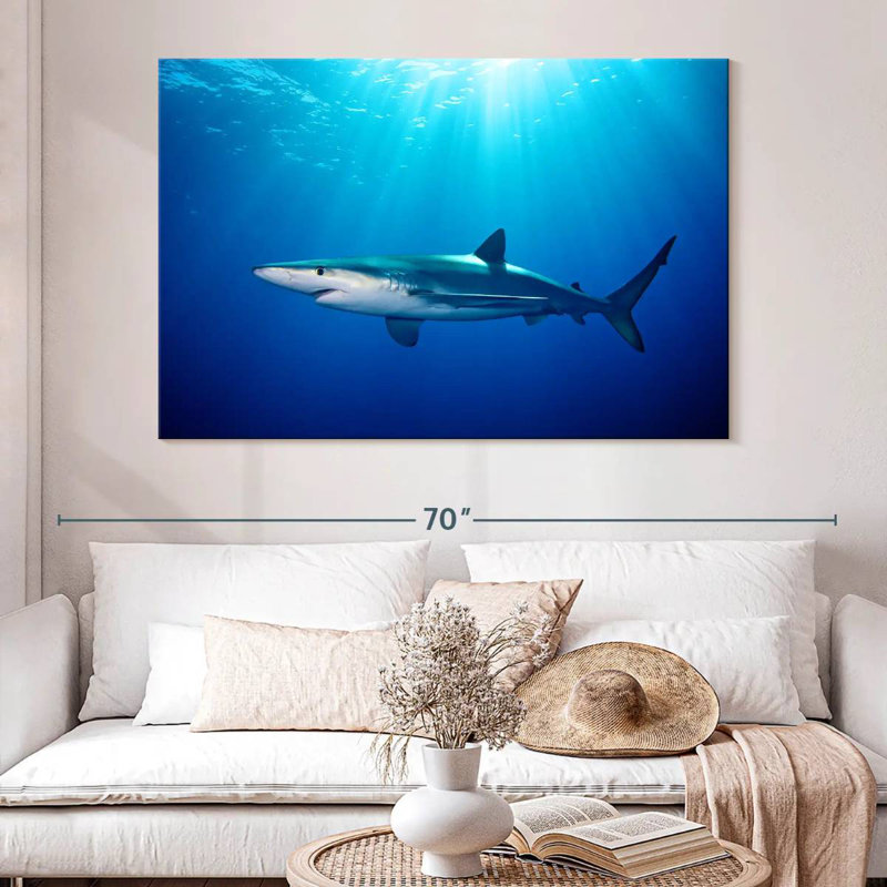 Brampt Blue Shark In Gordon's Bay