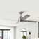 Birta 54'' Ceiling Fan with LED Lights