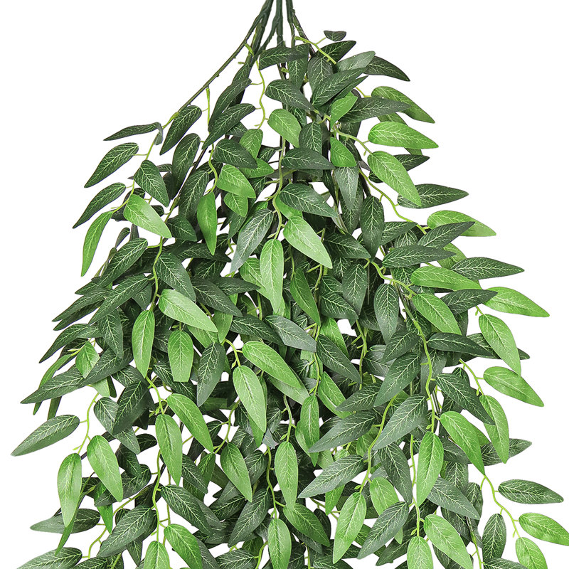 Ruscus artificiel italien Smilax