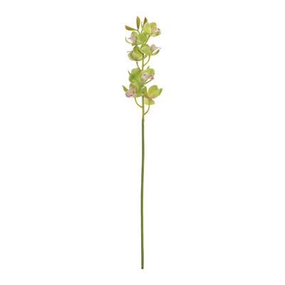 Tige de fleur d'orchidée cymbidium (ensemble de 2)