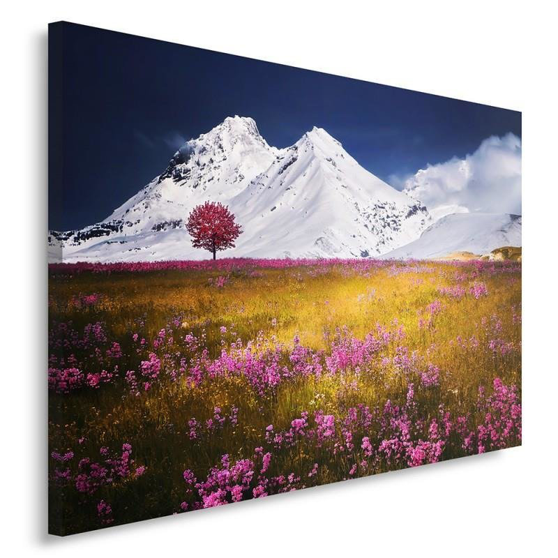 Picture, Alps Mountains - No Frame Print on Canvas, 70cm H x 100cm W