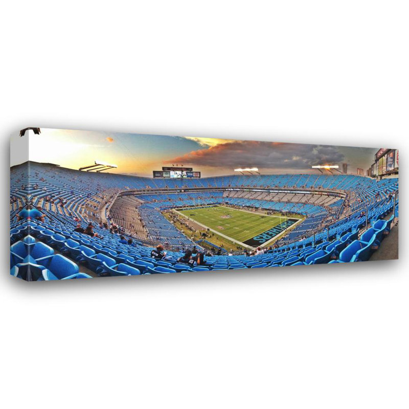 Bank of America Stadium, H 8 po x l 18 po