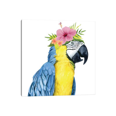 Tropical Halo II by Grace Popp - Wrapped Canvas Print