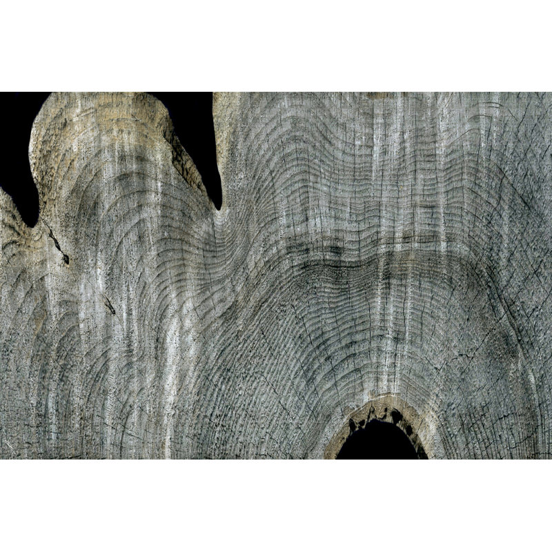 Gray Ghost I by John Butler - Painting Print, 30cm H x 46cm W, Wrapped Canvas