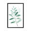 « Serene Reed I » par Grace Popp, reproduction d’art-49904824-53128423