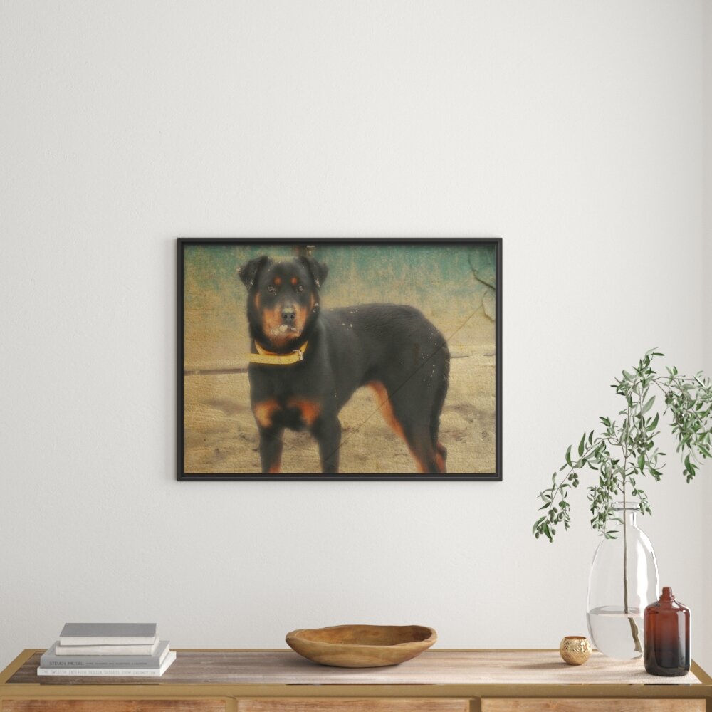 Gerahmtes Wandbild prächtiger Rottweiler