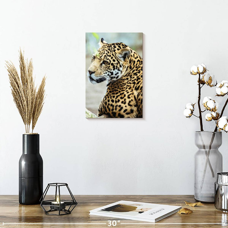 Look Brampt Jaguar, H 12 po x l 8 po
