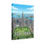 Vue de la ville de New York-249722998