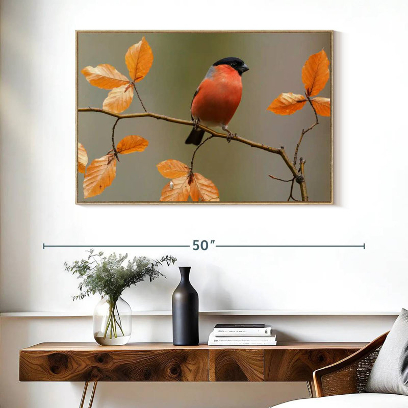 Bouvreuil sur une brindille, Cadre flottant en bois naturel, 40 po x 27 po