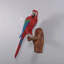 Statue grandeur nature perroquet Ara rouge