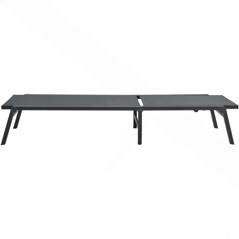 Chaise longue de bronzage pliable 2PCS, Gris foncé, noir