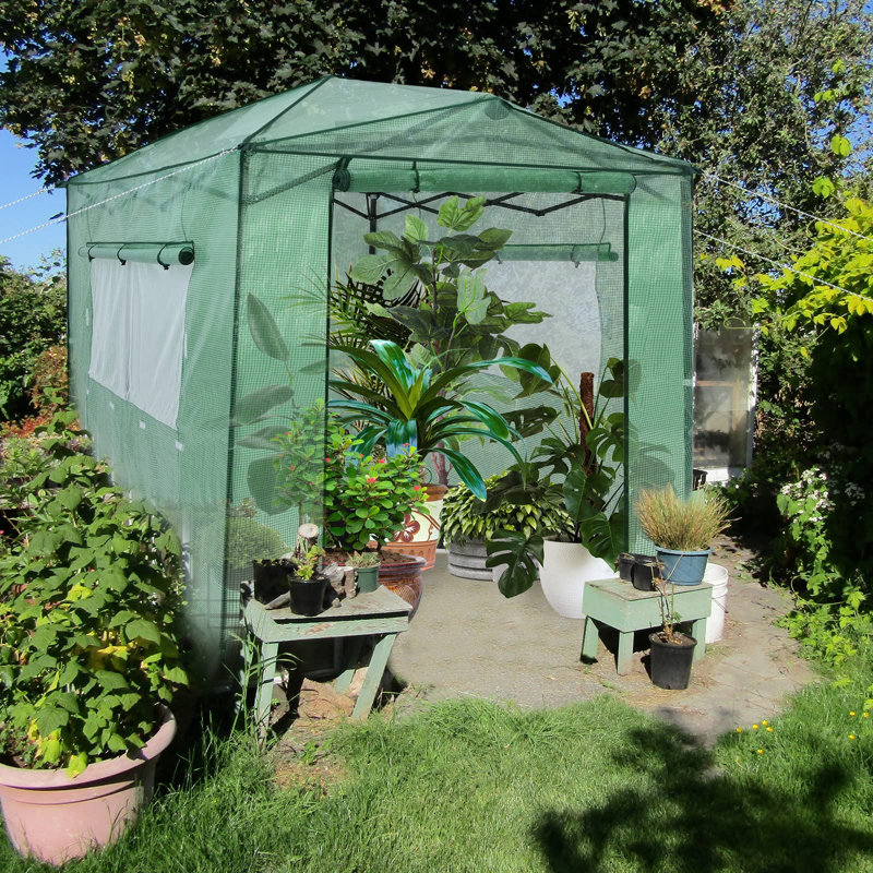 Assylbek 15 Ft W x 20.5 Ft D Hobby Greenhouse