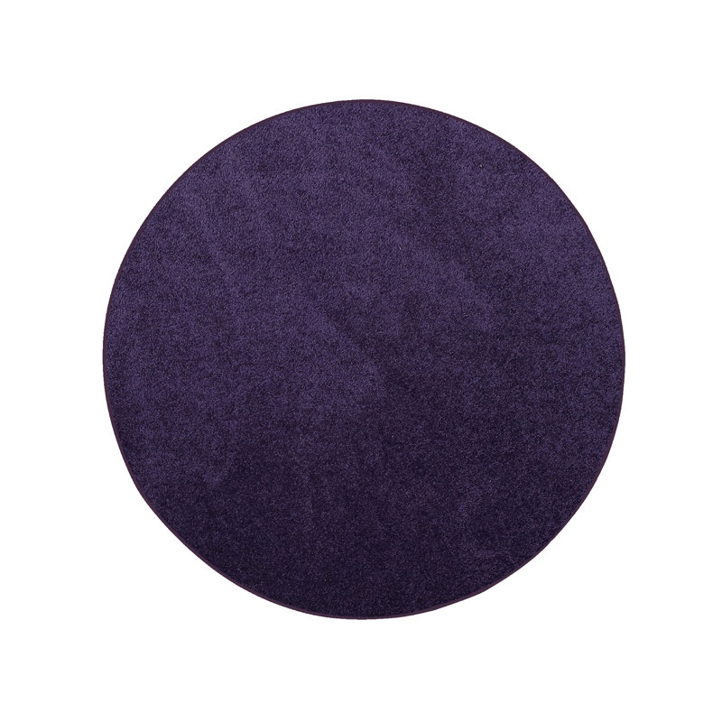 Modern Plush Pet and Kids Friendly Solid Color Purple Area Rugs, Stain & Fade Resistance, Perfect for Living Room, Dining Room, Bedroom, Playroom and Kidsroom, Event, Wedding, Amberjo Binded Rug