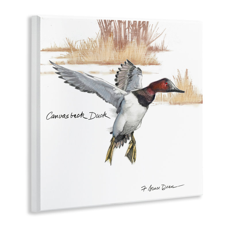 Canvasback Duck Flying Wall Plaque Art by Jadei Graphics