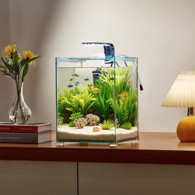 Aquarium aquarium 5 gallons Smart Square