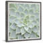 Seamless Patterns - Single Picture Frame Painting-626365630
