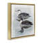 «Twin Loons in Water», toile encadrée flottante noire par Susan Jill-1482851713-1482851714