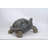 Tortoise Statue