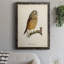 Maddock French Owls II-88378312-88378310