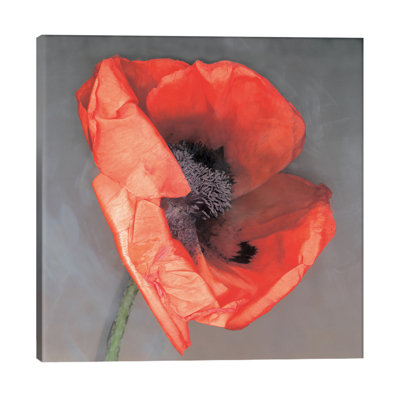 Erin Clark - Wrapped Canvas Print