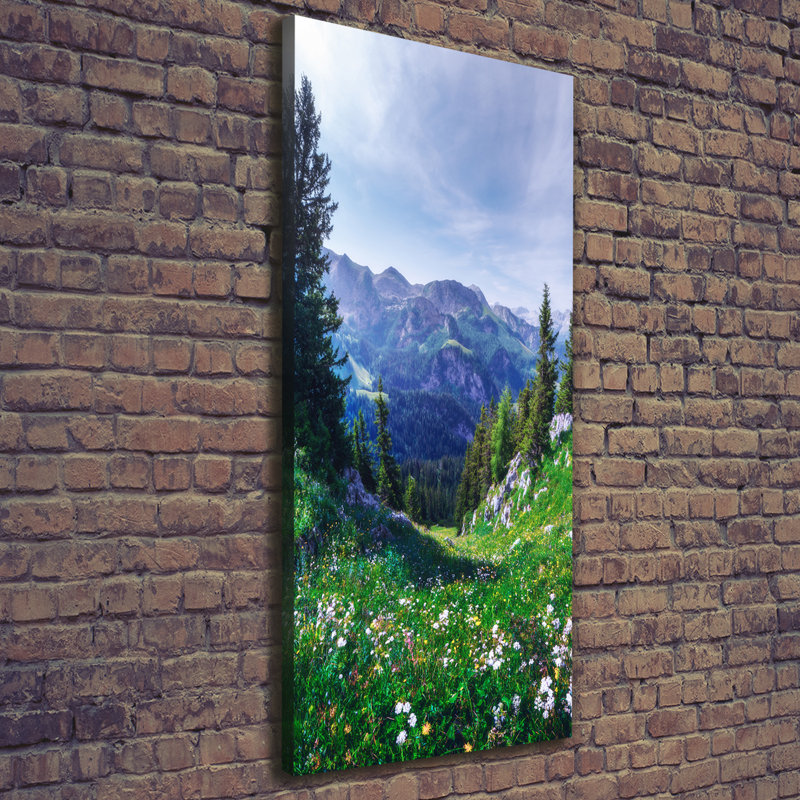 Alps - Wrapped Canvas Print