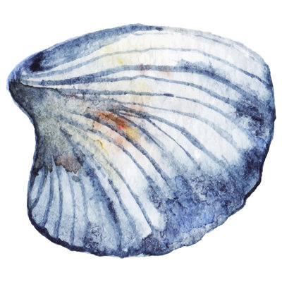 Sea Shell by Silmairel - Wrapped Canvas Painting