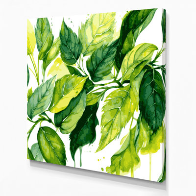 Art mural sur toile Botanical