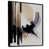 Floater Framed Canvas