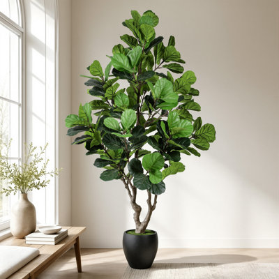 Ficus de luxe de 8 pieds avec feuilles de violon, ficus réaliste avec feuilles de violon, vient avec une jardinière noire, une plante en pot d'intérieur haut de gamme, parfaite pour décorer les salons et les bureaux