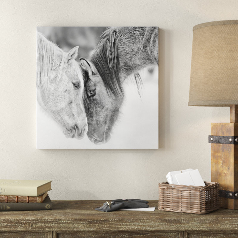 B&W Horses VII by PHBurchett - Print, 51cm H x 51cm W, Wrapped Canvas