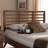 Murakami Headboard-46523969
