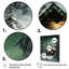 Festive Winter Forest Cabin - Art mural forêt-919401125-919401043