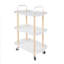 Chariot de rangement sur roulettes 3 niveaux