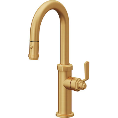 Pull-Down Prep/Bar Faucet With Button Sprayer