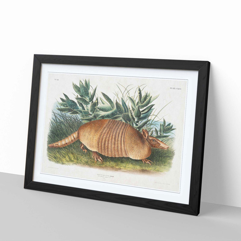 Armadillo 1 Piece Single Picture Frame Painting, 33cm H x 45cm W x 2cm D, Black