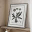 Pissenlit II, reproduction encadrée - bois massif 50201-505241957
